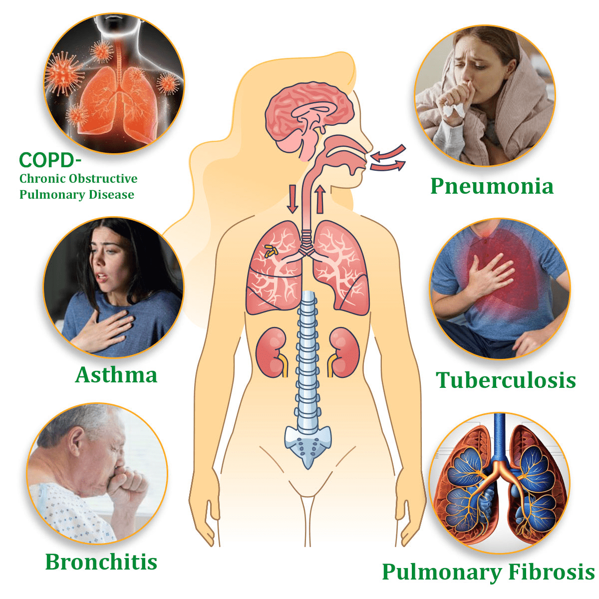 Herbal Lung Cleansing Inhaler
